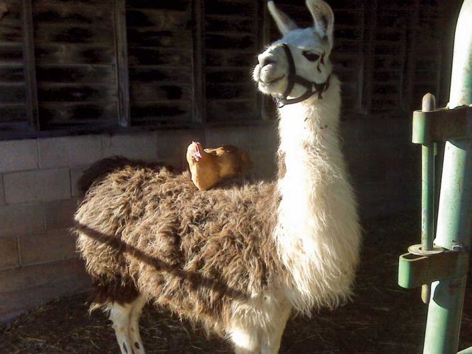 Mail Call: March/April 2010